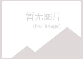 漳县夏岚水泥有限公司